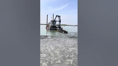 YSCSD350 capacità solida 360 cbm/ora